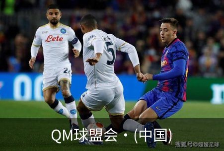 QM球盟会·(中国)品牌故事